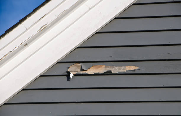 Best Insulated Siding Installation  in Gibsonburg, OH